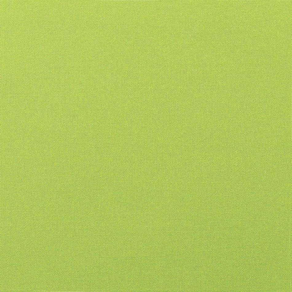 Canvas Macaw 5429-0000