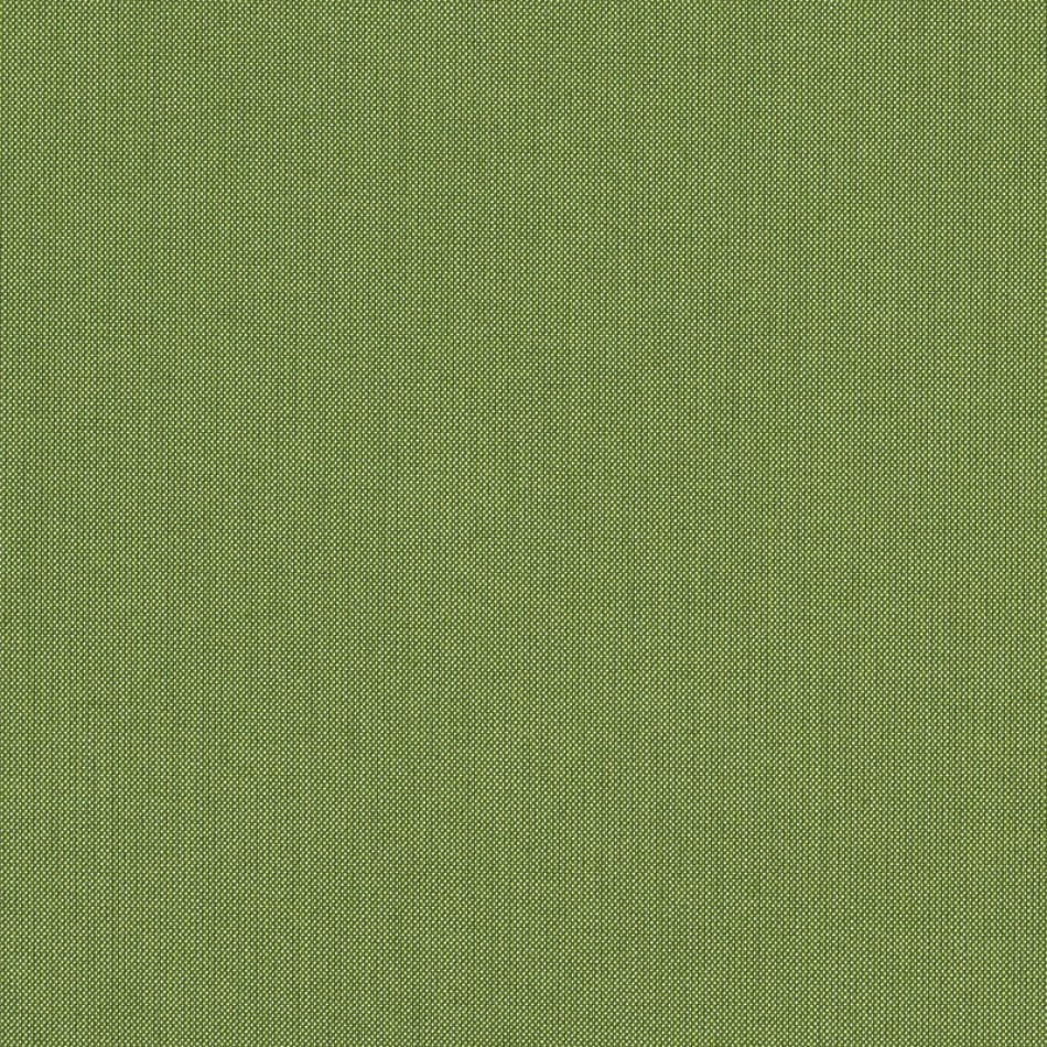 Spectrum Cilantro 48022-0000